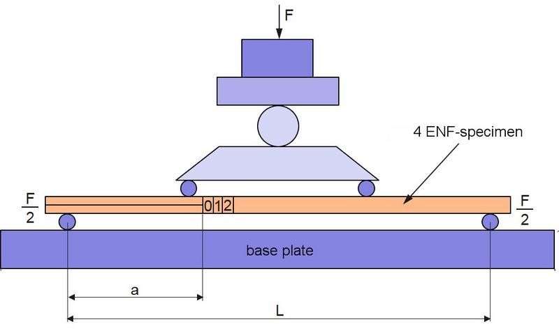 File:4 ENF-Specimen Fig.jpg