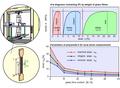 Thumbnail for version as of 08:58, 4 September 2026