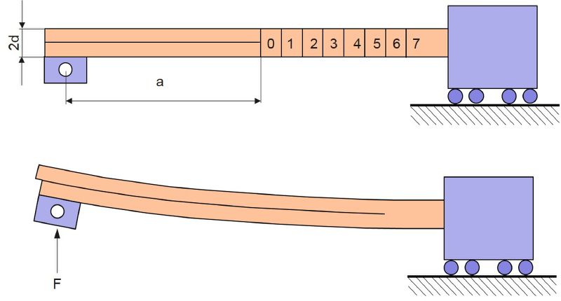 File:Els.jpg