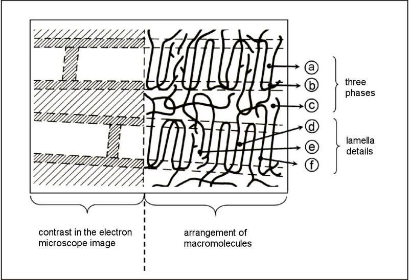 File:Polymer&Structure-4.jpg