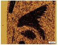 Thumbnail for version as of 14:15, 3 September 2026