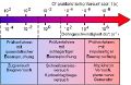 Thumbnail for version as of 09:36, 4 September 2026