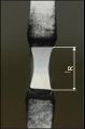 Thumbnail for version as of 11:21, 3 September 2026